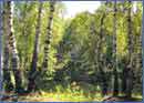 Russische Natur